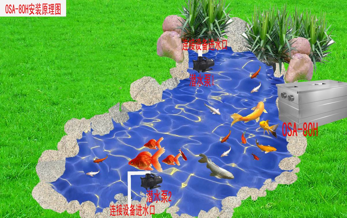 深圳私家花园景观鱼池过滤系统