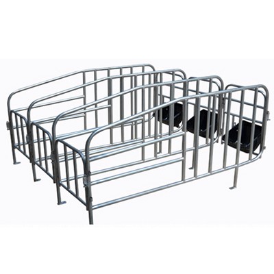 西昌市自动养猪设备-母猪限位栏-产床