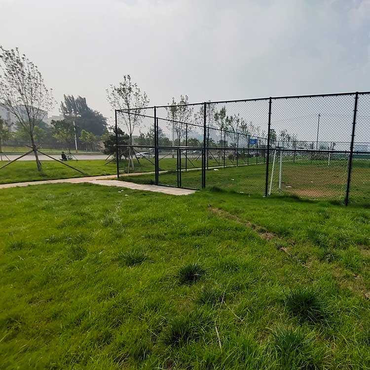 铜川市护栏网 篮球足球场护栏网 包塑勾花网围栏