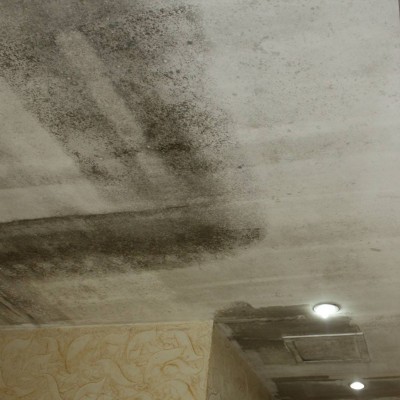 广州天河黄埔大道西除霉公司，霉菌高效清理，墙壁除霉服务