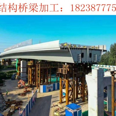 河南周口钢结构桥梁加工厂家钢拱桥施工案例