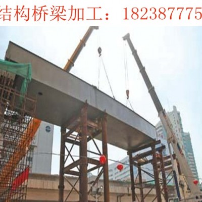 山东泰安钢结构桥梁加工厂家高架桥架设中
