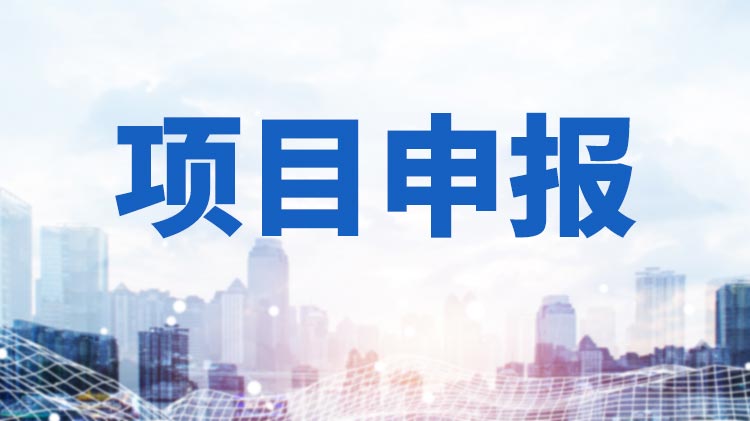 2022年武汉经开区公共服务平台奖励政策申报条件