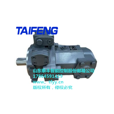 提供TFA7VSO160-250高压柱塞泵的销售