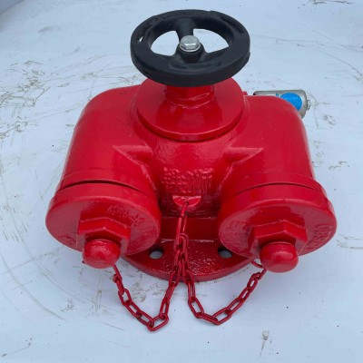 沧州铁狮多功能水泵接合器 消防设备