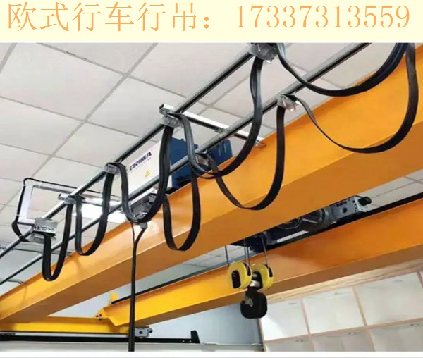 广东广州欧式行吊厂家 3吨设备已发出