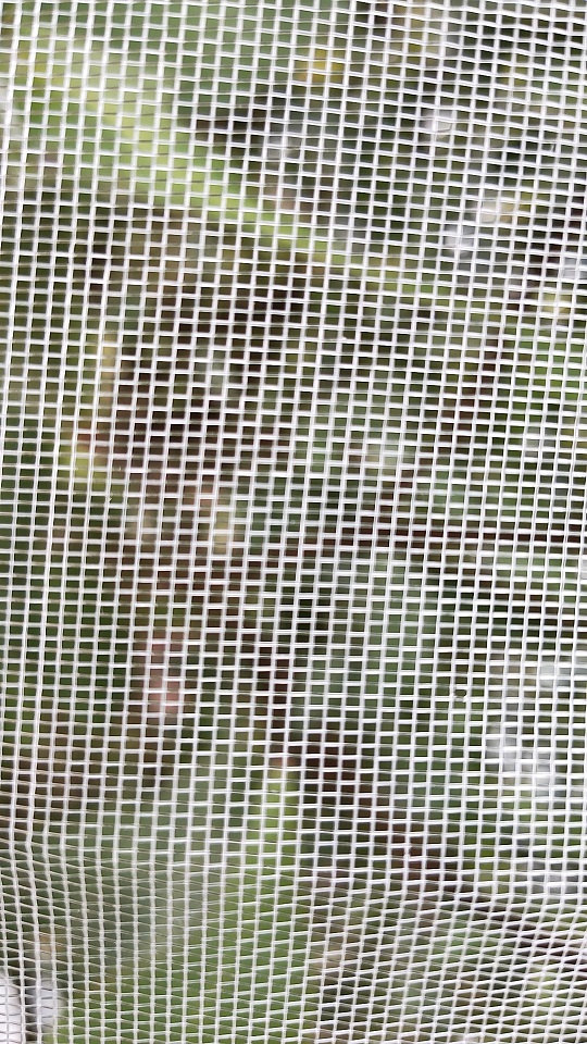 现货果树防虫网3米宽加厚四十目防虫网透光防蜂蝇类