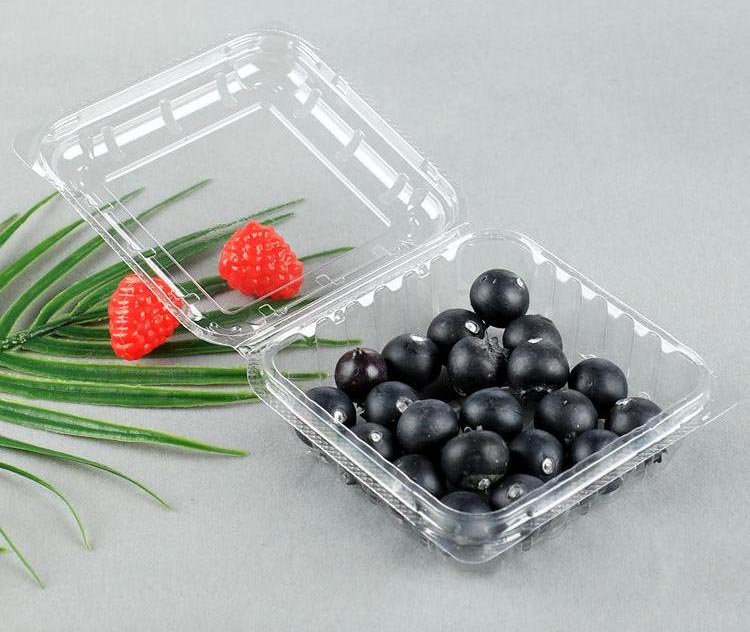 对折泡壳蓝莓吸塑厂上海广舟 食品吸塑托盒