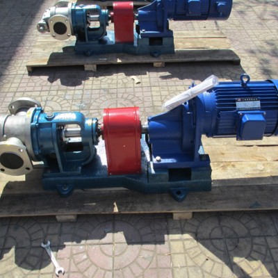 高粘度齿轮泵 高粘度泵 应用范围广 天一定制
