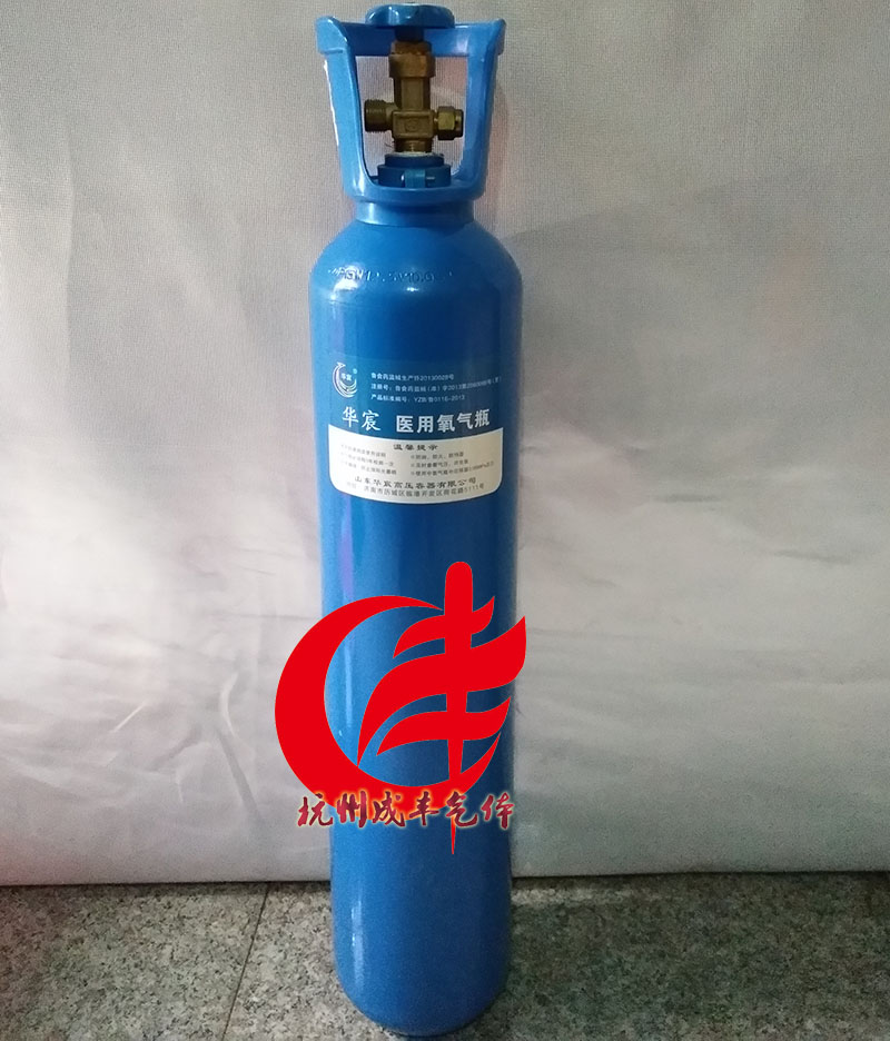 氧气成丰供应O2高压助燃气体无色液态钢瓶10升高纯便携液氧