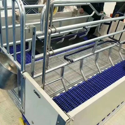 养猪场欧式母猪产床的组成尺寸使用及介绍