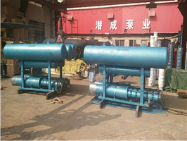 天津水渠取水QJF型浮筒式深井潜水泵两台机组并联结构潜成泵业