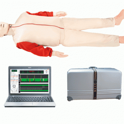 KAY/CPR780高级心肺复苏模拟人（计算机控制）