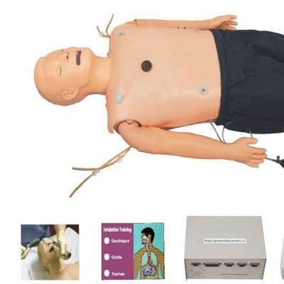 KAY/ACLS800A高级多功能急救训练模拟人CPR模型人