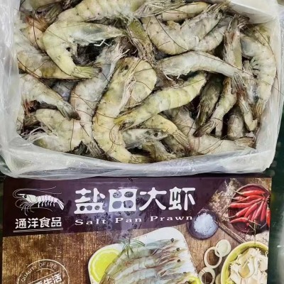 天津冷冻虾进口代理