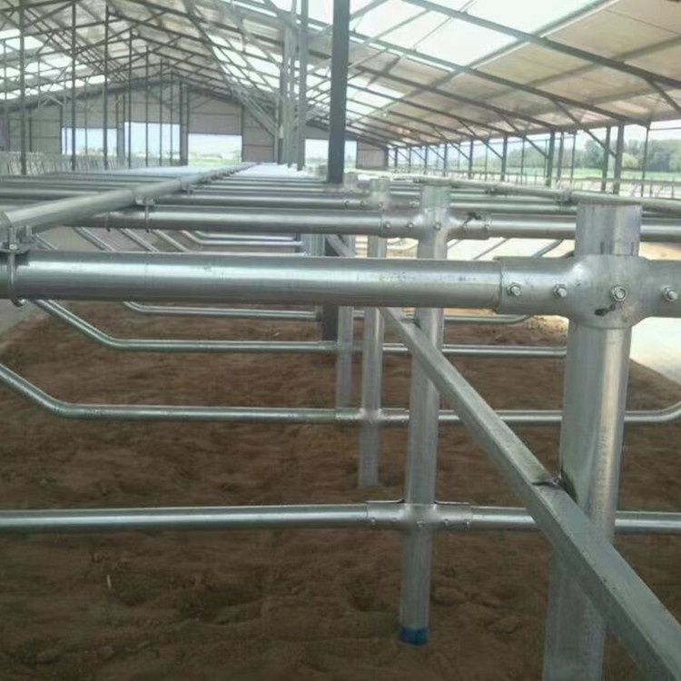 牛养殖场现代化设备防腐加厚管件坚固耐用