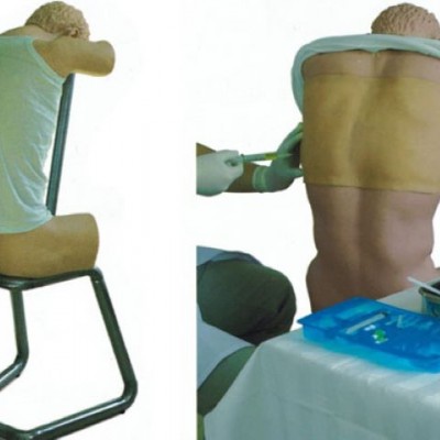 益联医学背部（胸部）穿刺训练模型