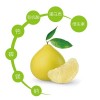 酵素黄金柚减肥瘦身-酵素黄金柚