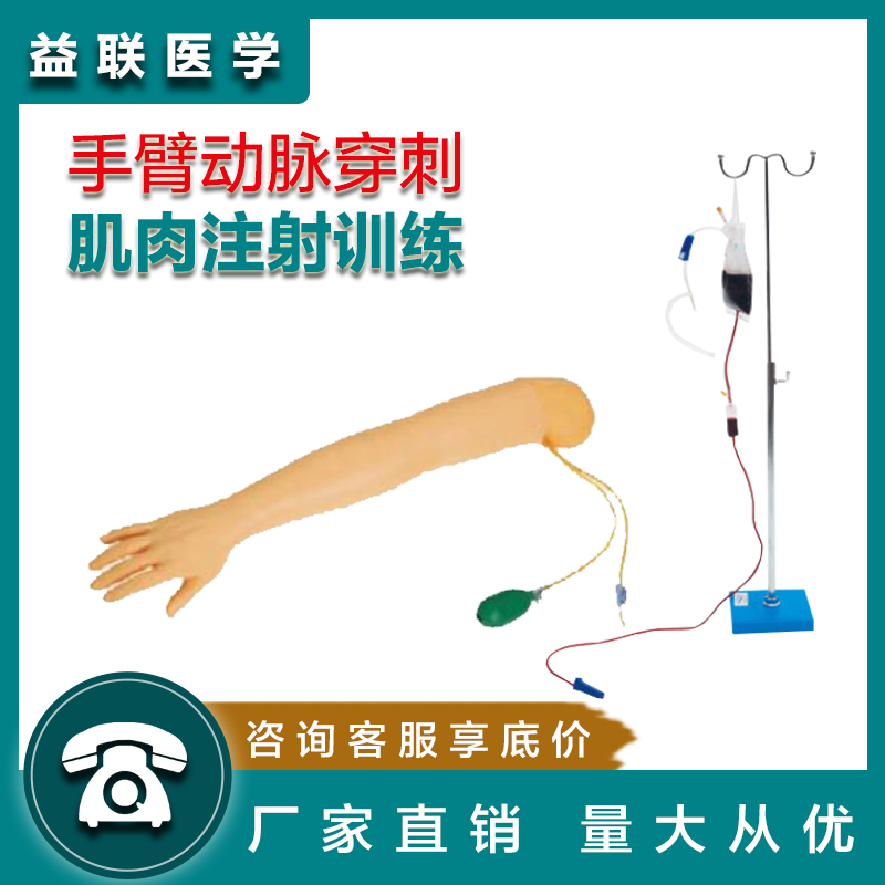 益联医学手臂动脉穿刺及肌肉注射训练模型