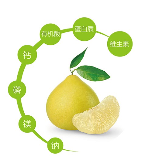 酵素黄金柚减肥瘦身-随便果酵素梅酵素果
